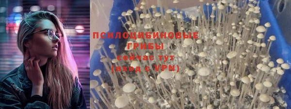 дурь Алексеевка