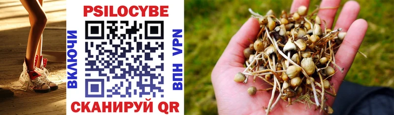 Псилоцибиновые грибы MAGIC MUSHROOMS  Анива 