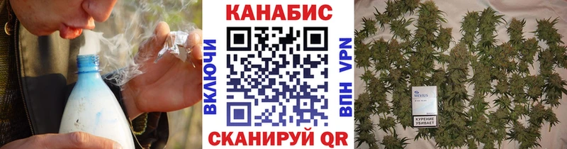 Бошки марихуана OG Kush Анива